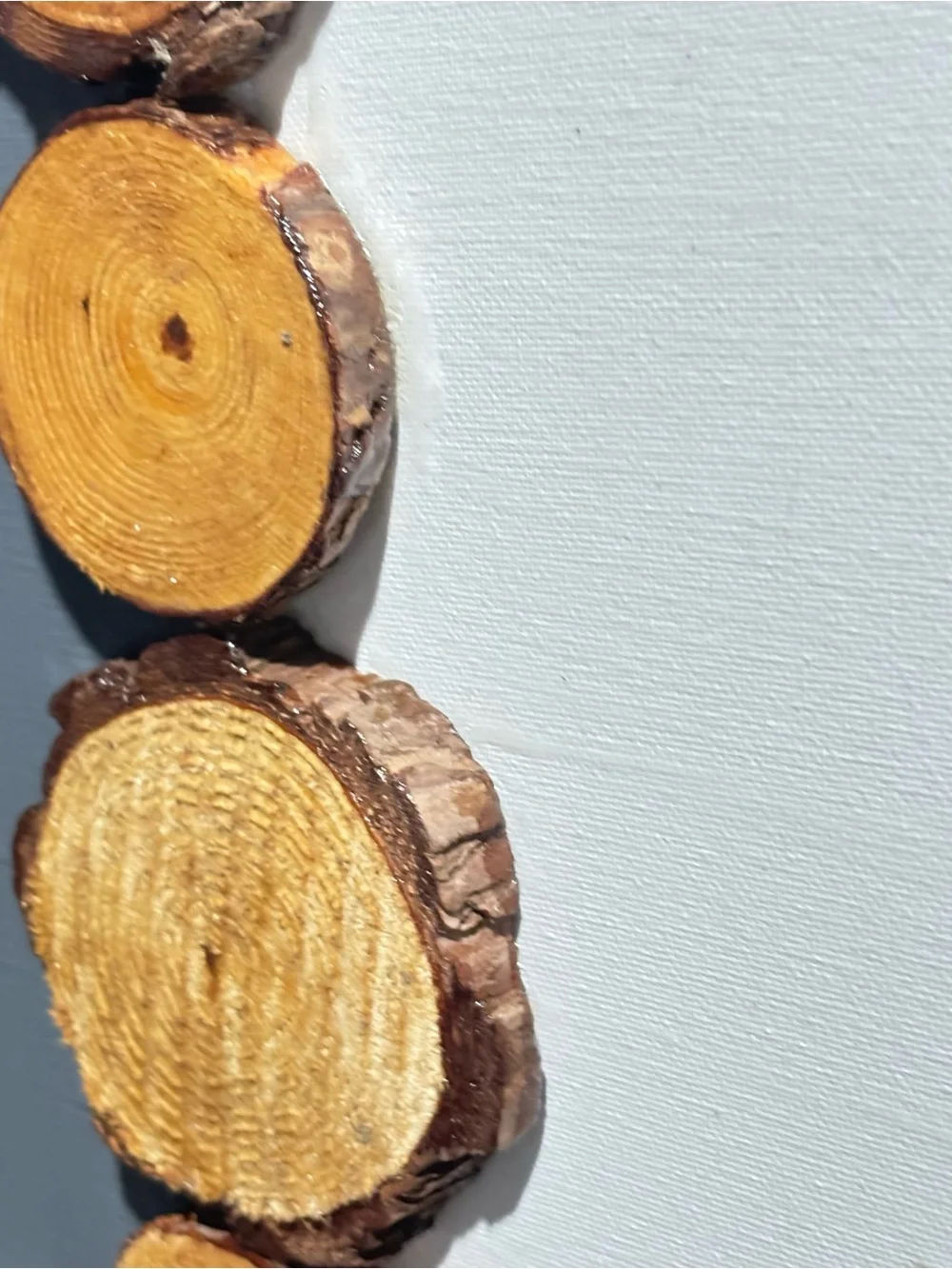 Natural Wood Slice Wall Art in Yellow and Brown - Unbranded